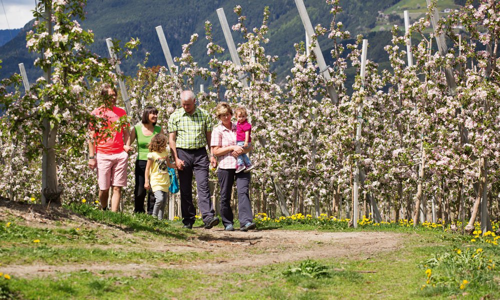 Passeggiata floreale